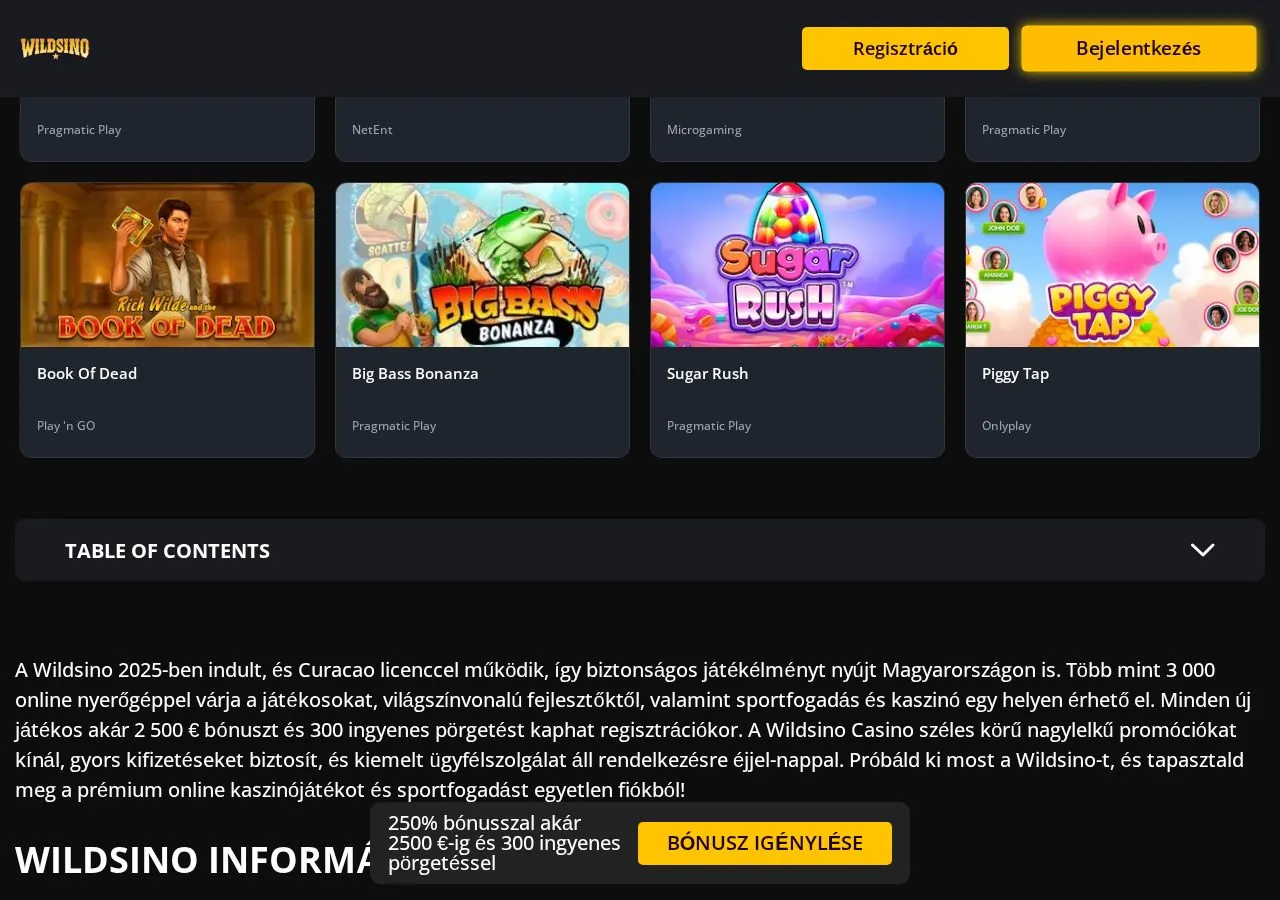 Wildsino: Startseite, Überblick